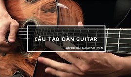 Tìm Hiểu Về Cây Đàn Guitar - Cấu Tạo Và Chức Năng Từng Bộ Phận